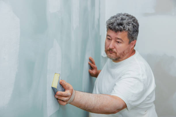 Best Mold Prevention Services  in Blanchester, OH