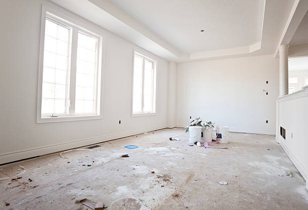 Best Basement Mold Removal  in Blanchester, OH