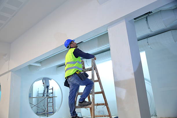 Best Mold Damage Restoration  in Blanchester, OH