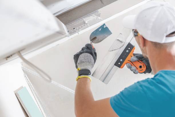 Best Dehumidification Services  in Blanchester, OH